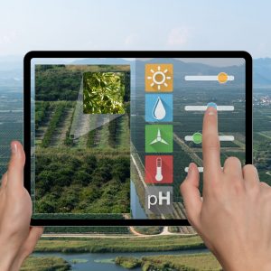 A farmer is holding a tablet on the background of agricultural v