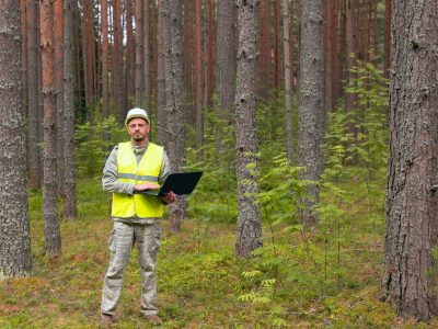 Forest worker performs forest inventory on a computer. Computer technology in the forest industry.